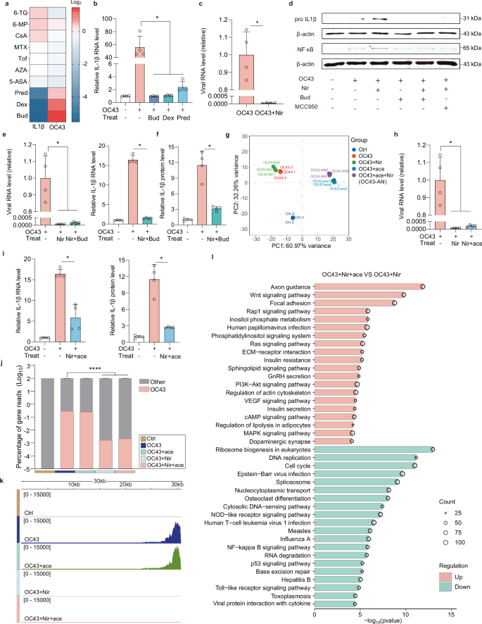 Fig. 7: Devising combination treatment in MaugOs against enteric viral infections.