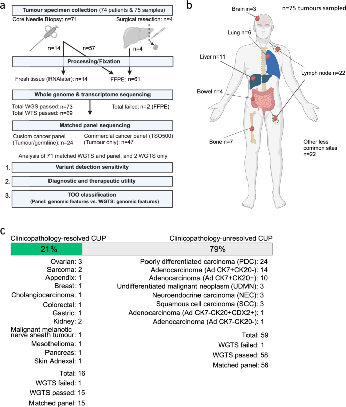 Fig. 1: Selection of cancer of unknown primary cases for WGTS.