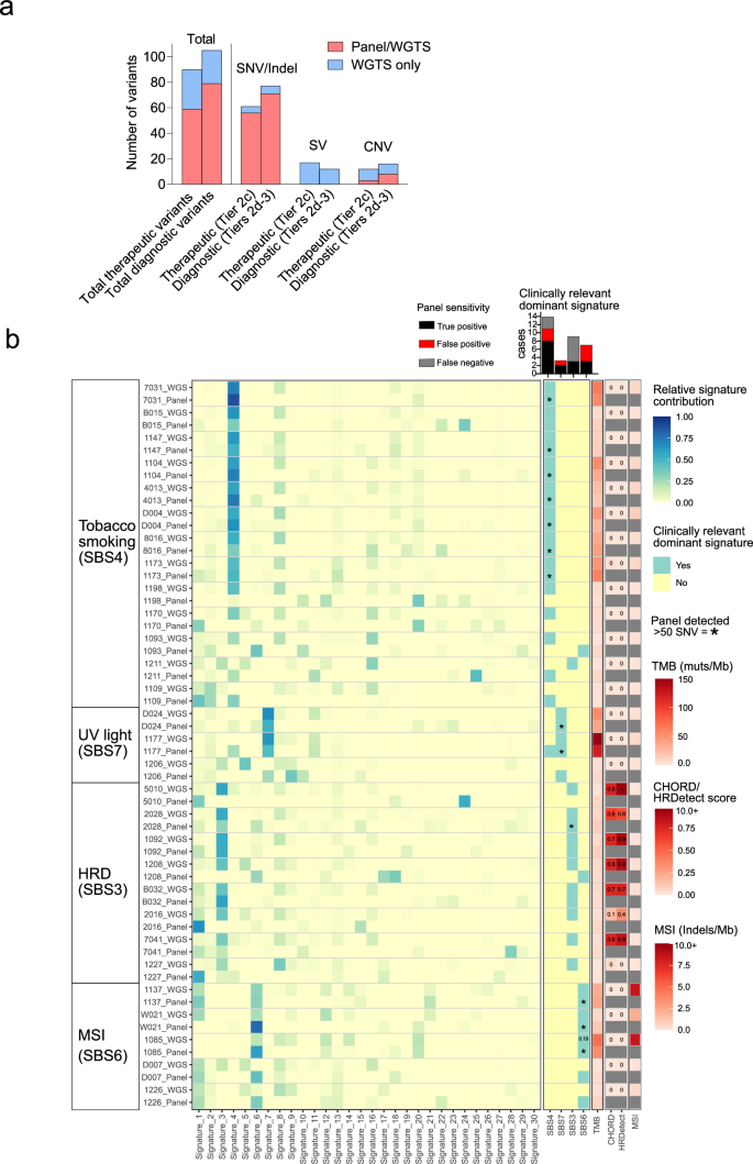 Fig. 2: Detection of therapeutic and diagnostic mutational features in CUP using WGTS and panel.