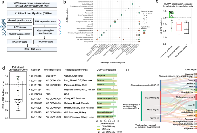 Fig. 4: Application of CUPPA to aid TOO diagnosis.