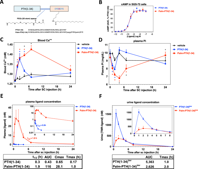 Fig. 1: Design and characterization of Palm-PTH(1-34).