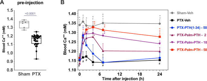 Fig. 2: Evaluation of Palm-PTH(1-34) in parathyroidectomized mice.
