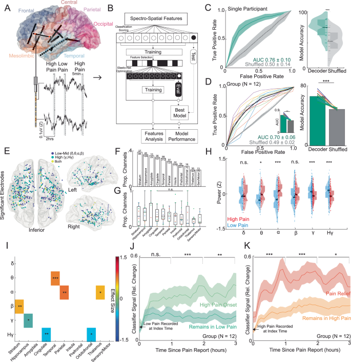 Fig. 2: Intracranial neural activity sufficient for decoding of self-reported acute pain states are spatially distributed, temporally stable and modulated by pain onset or pain relief.