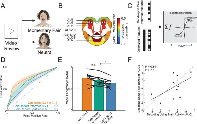 Fig. 4: Transient episodes of momentary pain can be decoded using neural and facial activity.