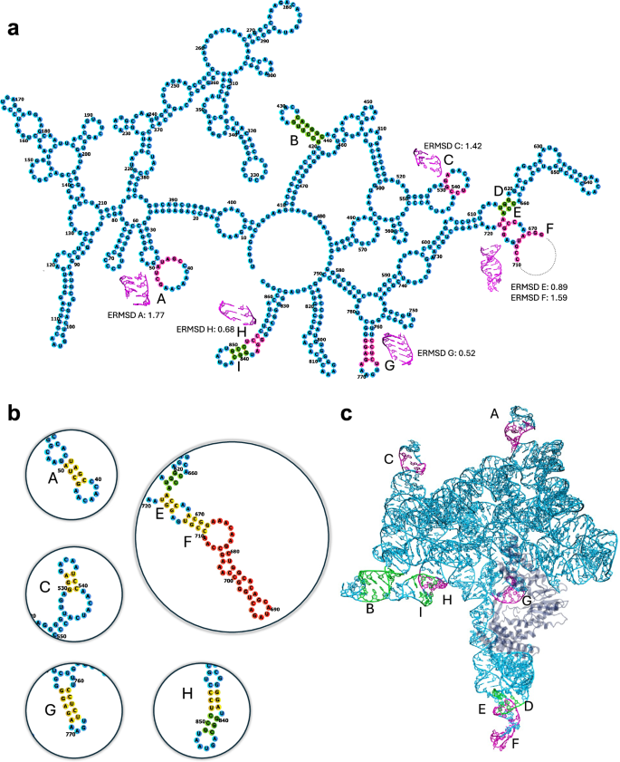 Fig. 1: Secondary structure and identification of unfolded helices.
