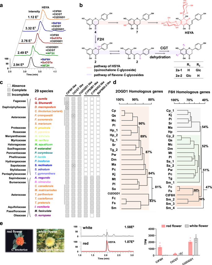 Fig. 6: The distribution of HSYA-related genes in plants.