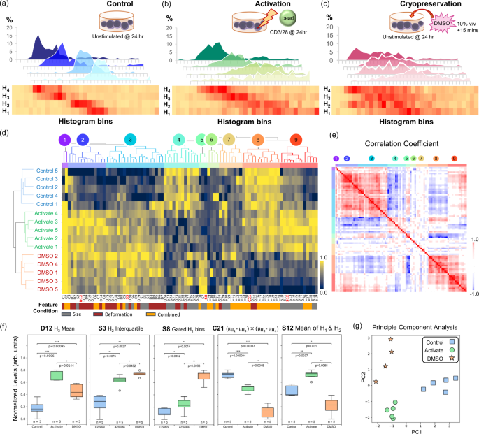 Fig. 2: CTM assay H1-4 signatures showing distinct regions of profiles for different T cell states of unstimulated and untreated control, CD3/28 activation, and cryopreservation.