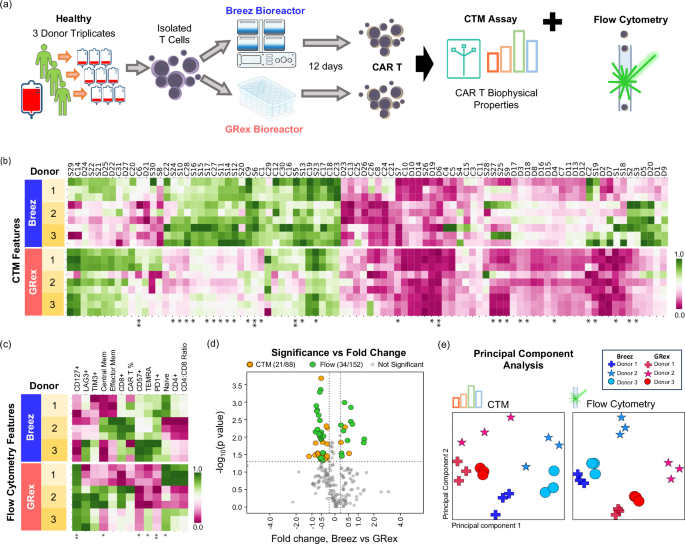 Fig. 4: CAR T biophysical signatures correlate with flow cytometry cell phenotypes from different bioreactors.
