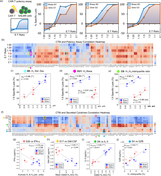 Fig. 6: Correlation plots of CTM feature(s) with CAR T potency specific lysis and cytokine secretion profiles following co-culture with NALM6 tumor cells.