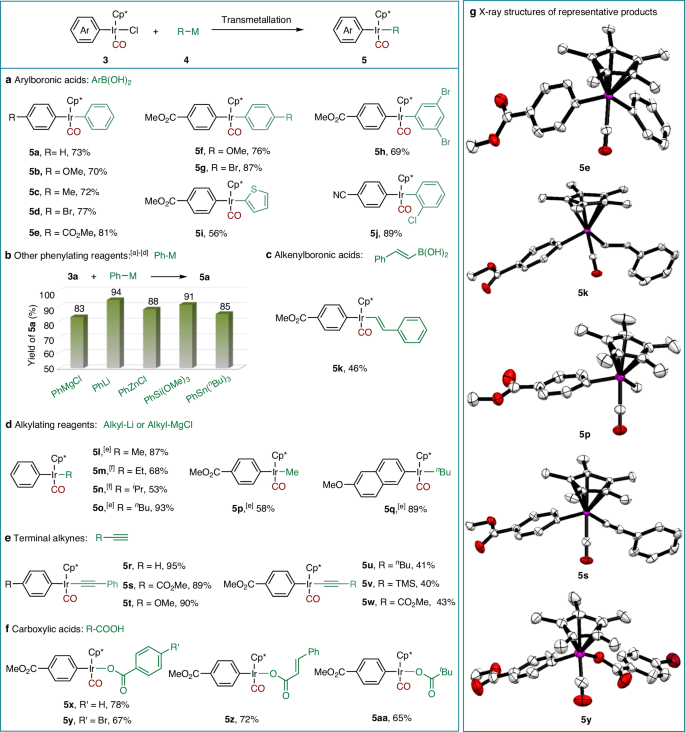 Fig. 3: Transmetallation of aryl Cp*Ir(III)(CO)Cl complexes with diverse nucleophiles.