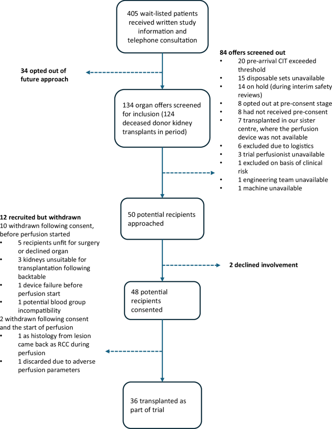 Fig. 1: Trial flow diagram showing the recruitment process and reasons for withdrawals or exclusions.