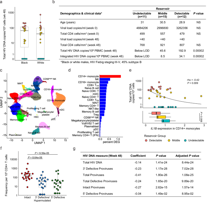 Fig. 3: Validation of IL1B association with smaller reservoir size from an independent cohort with a different infecting viral subtype across various Fiebig stages.