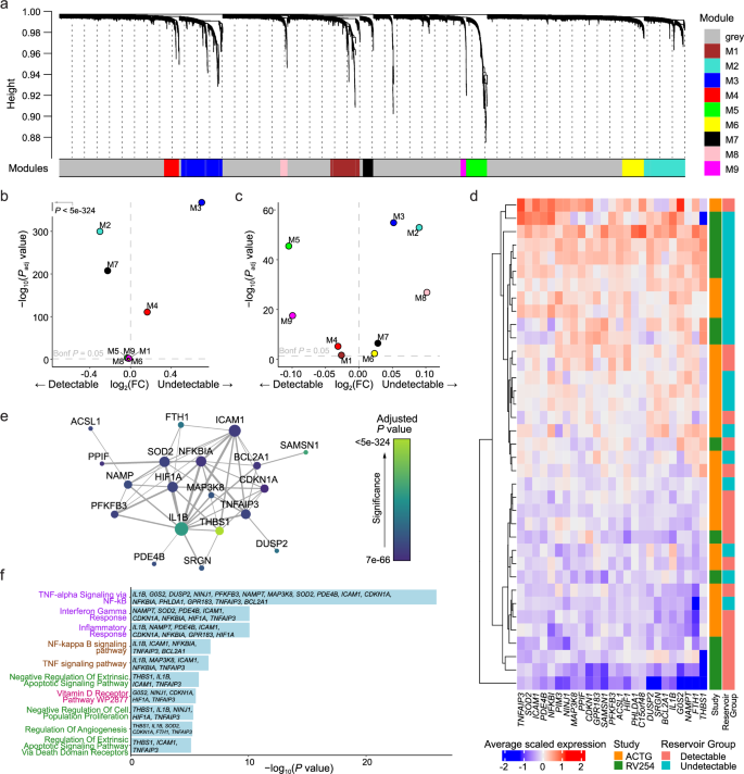 Fig. 4: Pathway analyses identified a distinct signature associating with reservoir size.