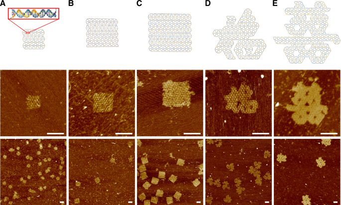 Fig. 2: Design and assembly of 2D wireframe structures.