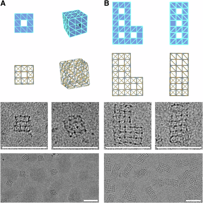 Fig. 4: Design and assembly of 3D perforated multilayer wireframe structures.