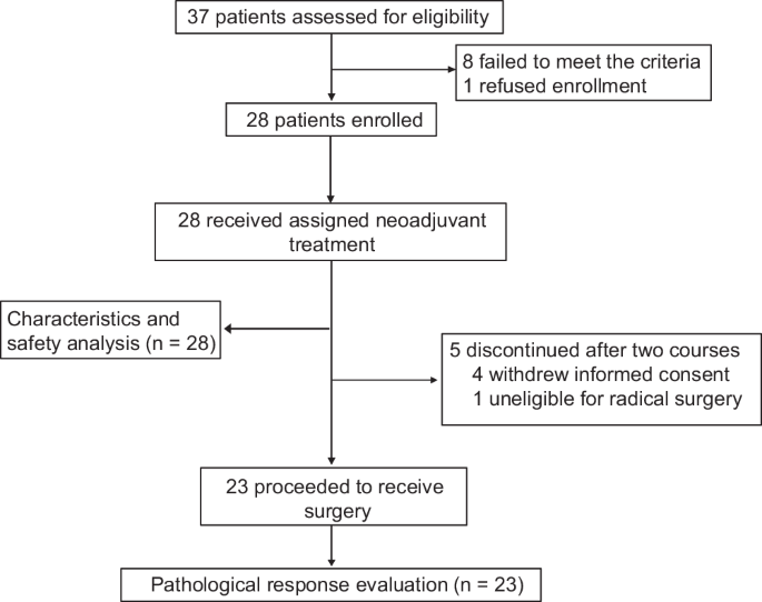 Fig. 1: Clinical trial flow chart.