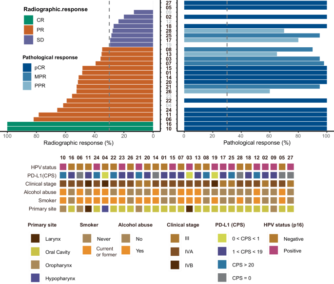 Fig. 2: Waterfall plot of characteristic of radiographic response (n = 28) and pathological response (n = 23) profiles.