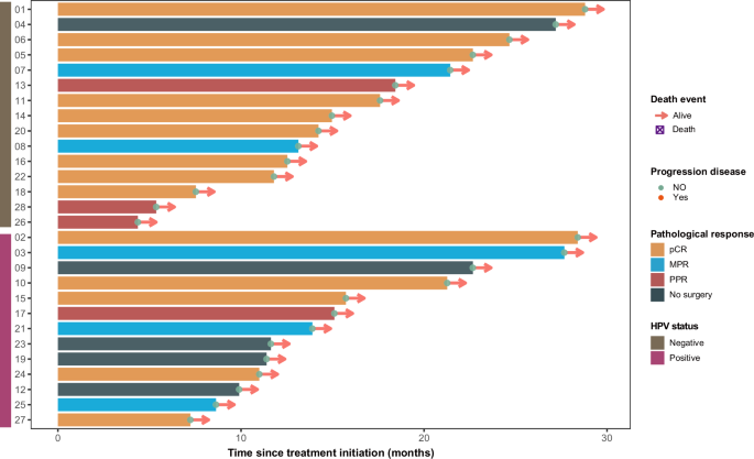Fig. 3: Swimming plot of overall survival for individual patients (n = 28).