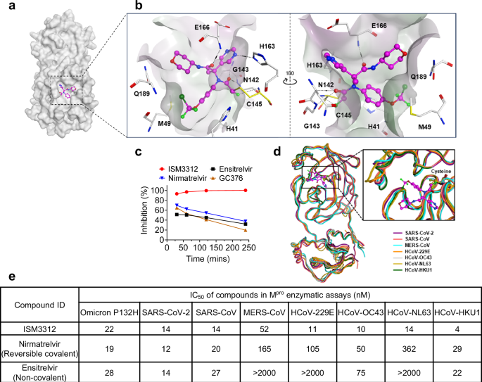 Fig. 2: ISM3312 exhibits pan-coronavirus and irreversible inhibitory activity against different Mpros.