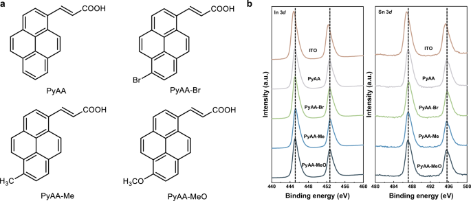 Fig. 1: Molecular design and anchoring behavior.