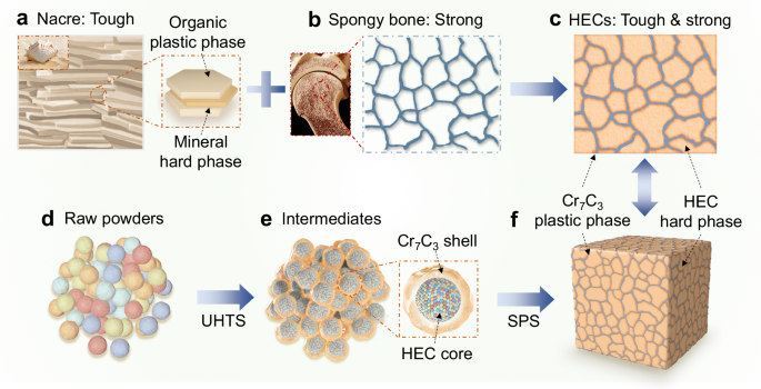 Fig. 1: Schematic of bioinspired design and fabrication of high-entropy carbide (HEC)/Cr7C3 all-ceramics.