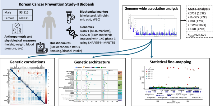 Fig. 1: Overview of the Korean Cancer Prevention Study-II Biobank and analysis.