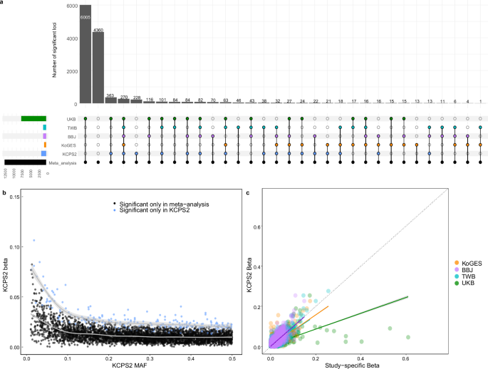 Fig. 3: Meta-analysis of 21 traits across KCPS2, KoGES, BBJ, TWB, and UKB.