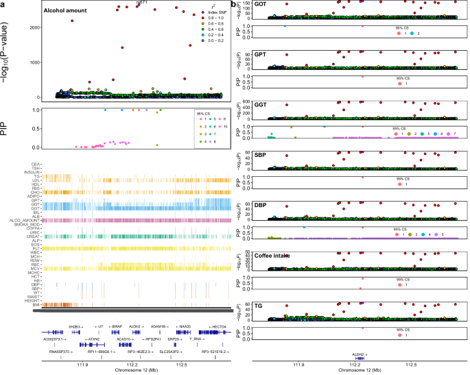 Fig. 5: Fine-mapping and colocalization analysis of ALDH2 region in KCPS2.
