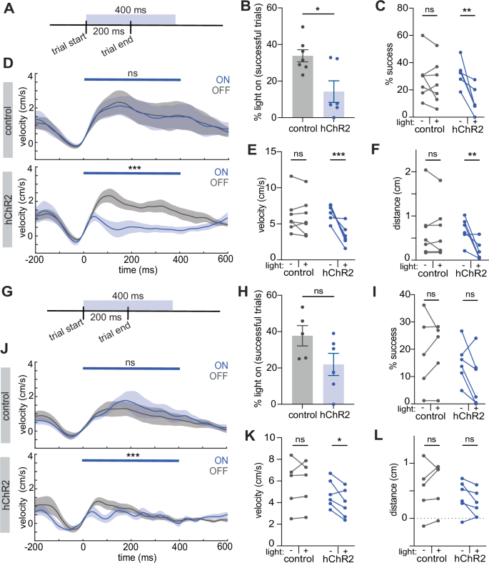 Fig. 3: M1CT activity disruption perturbs movement execution.