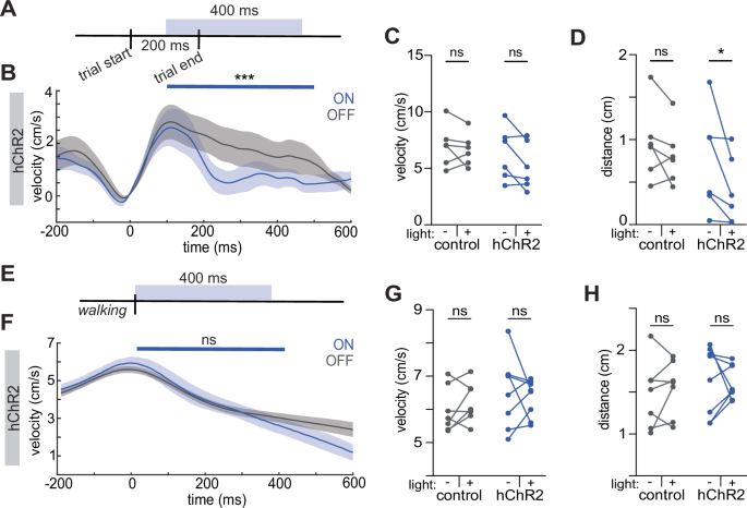 Fig. 4: Differential perturbation to movement during manipulations of M1CT activity.