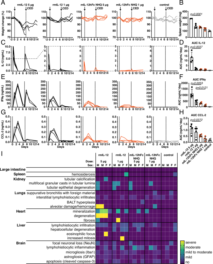 Fig. 4: C3H/HeJ IFNγ-sensitive mice tolerate high intraparenchymal doses of mIL-12hFc NHQ without systemic toxicity.