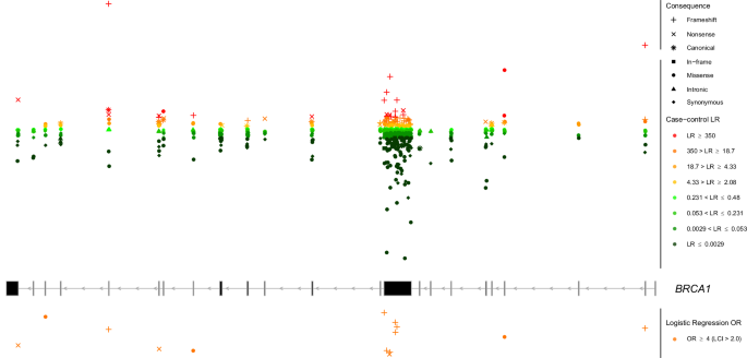 Fig. 2: Genomic mapping of the case-control analysis for BRCA1.