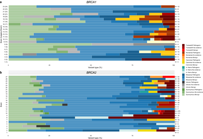 Fig. 6: Overview of the case-control likelihood ratio evidence assigned per exon and sequence ontology variant consequence for BRCA1 and BRCA2.