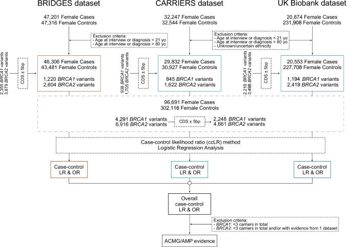 Fig. 8: Flowchart summarizing the study design.
