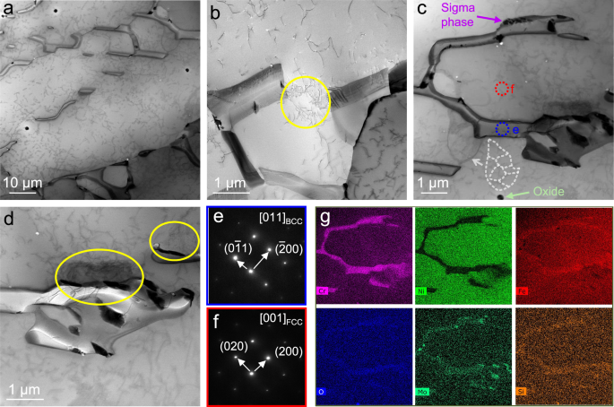 Fig. 6: TEM characterization of the bulk 316L SS sample.