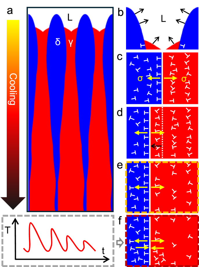 Fig. 7: Schematics showing the dislocation accumulation and annihilation during the wire-laser DED process of 316L SS.