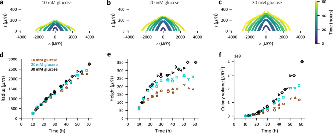 Fig. 1: Dependence of E. coli colony expansion on initial glucose concentration.