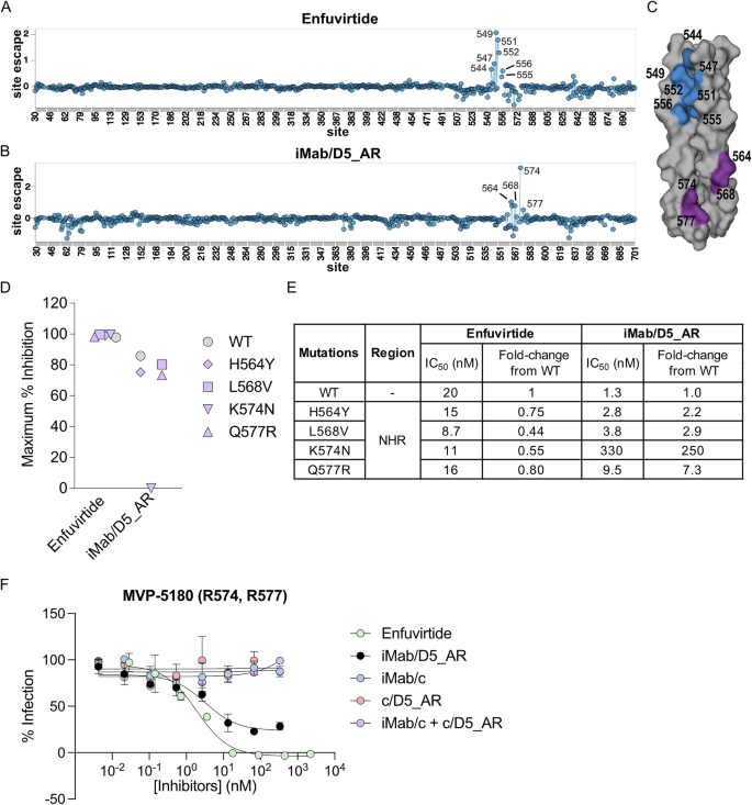 Fig. 5: Identification of key residues for neutralization by iMab/D5_AR.