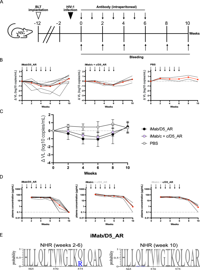 Fig. 6: iMab/D5_AR suppresses HIV-1 viral load in vivo.