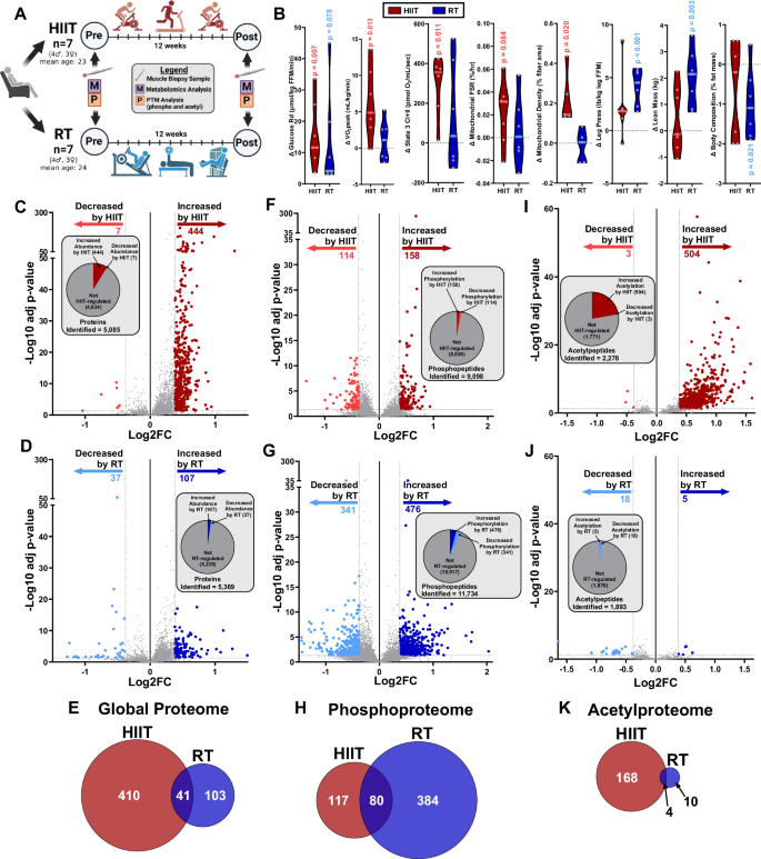 Fig. 2: HIIT and RT regulate distinct global, phospho-, and acetyl-proteomic adaptations in human skeletal muscle.