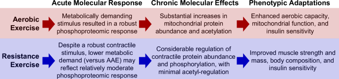 Fig. 7: Summary of the acute and chronic molecular responses to different exercise training modes.