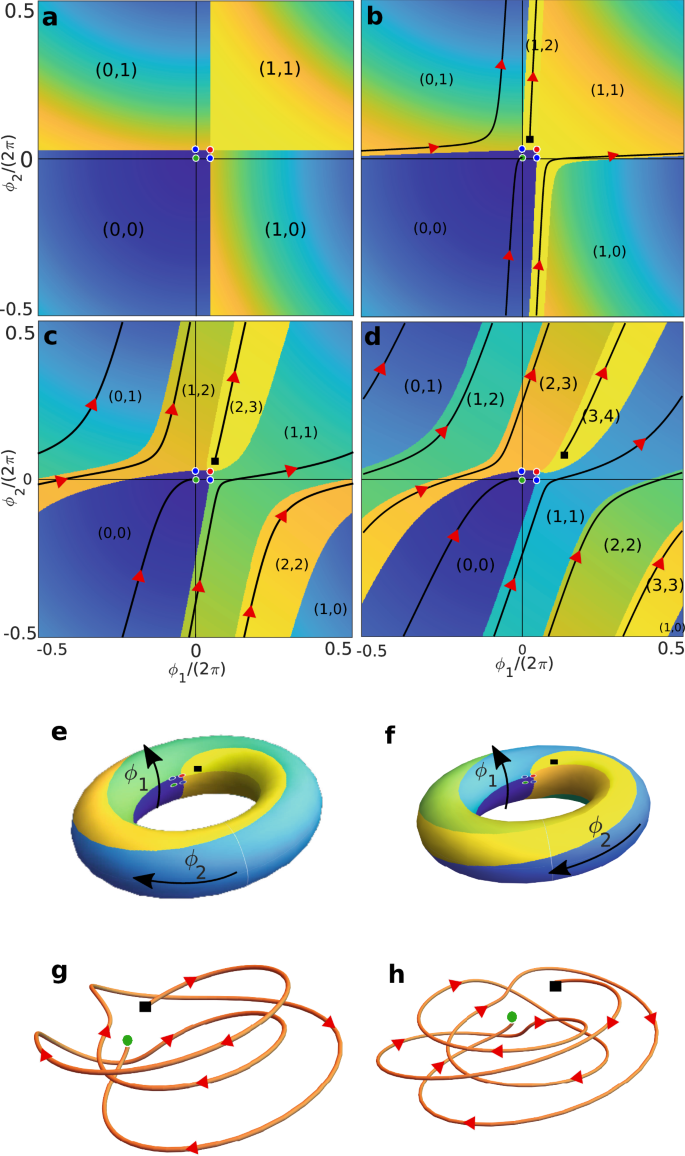 Fig. 3: Phase portraits of the deterministic dynamics for weak asymmetry.