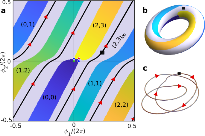Fig. 4: (2,&nbsp;3)∞ TPL state.
