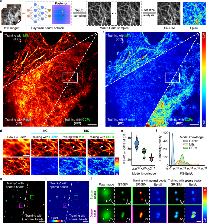 Fig. 2: Identification of unreliable SR imaging due to erroneous generalization with BayesDL-SIM.
