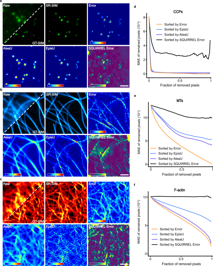 Fig. 3: BayesDL reveals the distribution of SR imaging errors.