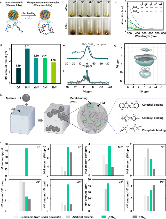 Fig. 3: Metal-binding ability of phosphomelanin.