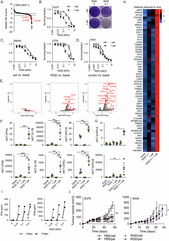 Fig. 1: Palbociclib enhances Rt3D cytotoxicity and virus defence response.