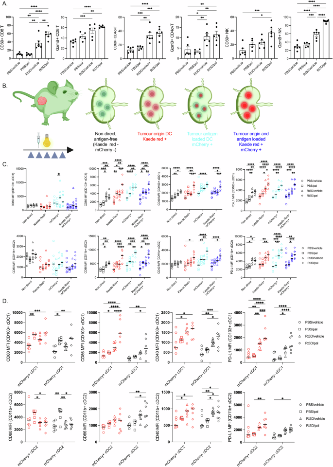 Fig. 3: Immune cell activation in vivo with Rt3D-palbociclib treatment.