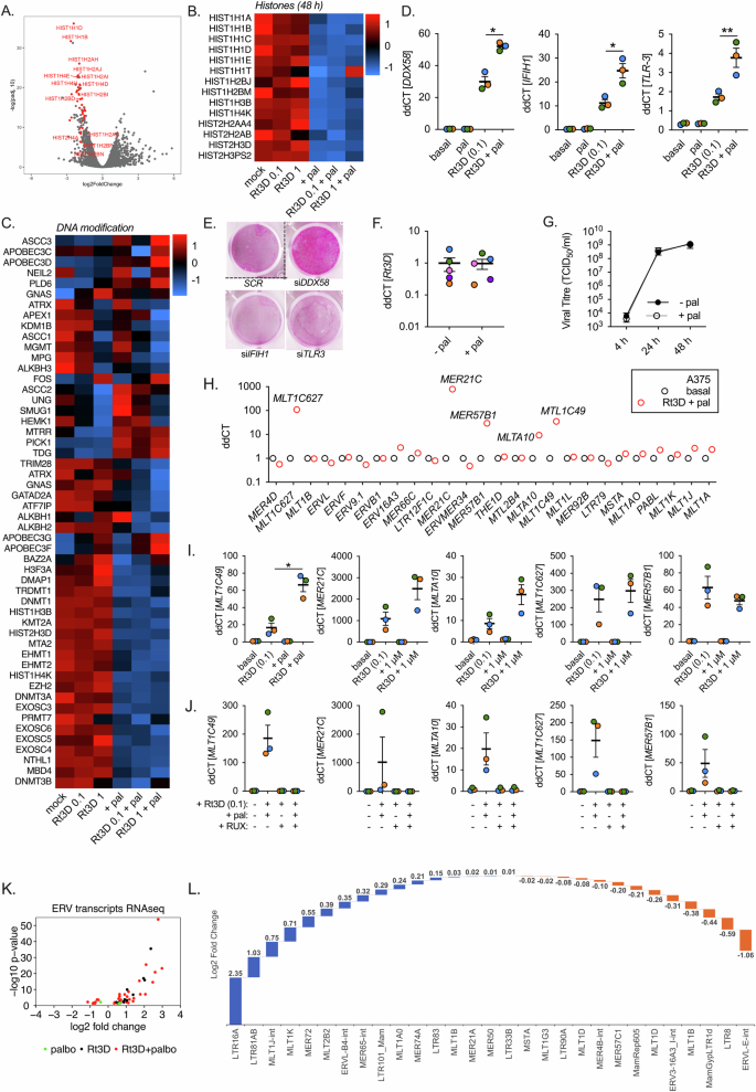 Fig. 4: Rt3D-palbociclib increases RNA sensor expression and RNA ERV species expression that is dependent on JAK/STAT signalling. ERV peptides are found in the immunoproteome.