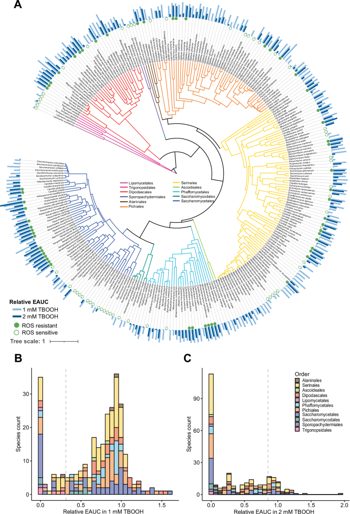 Fig. 1: The relative growth of yeast species grown in the presence of ROS.